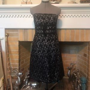 White House Black Market Strapless Lace Dress